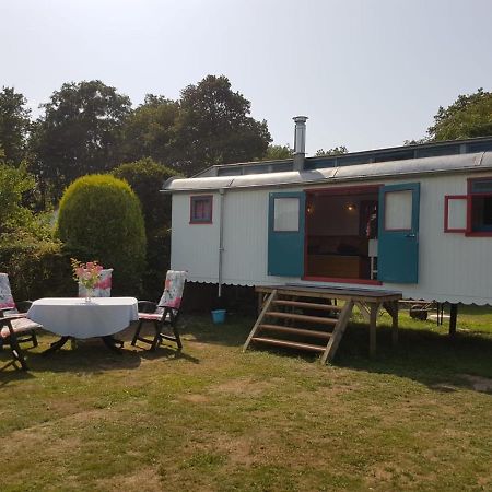 Gezellig Pipowagen In Oostvoorne Villa Luaran gambar