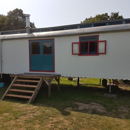 Gezellig Pipowagen In Oostvoorne Villa Luaran gambar